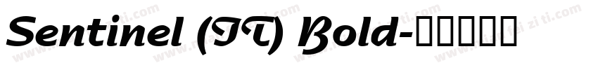 Sentinel (IT) Bold字体转换